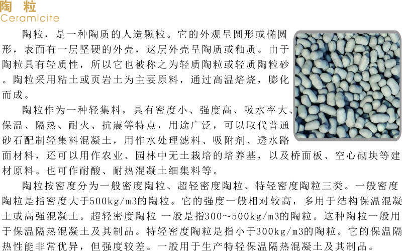 后部分 TAOLI 简介.jpg